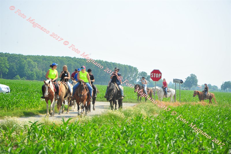 DSC_0852.JPG
